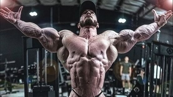 Testo Mix Omega Meds Dosierung Testo Mix Omega Meds Dosierung