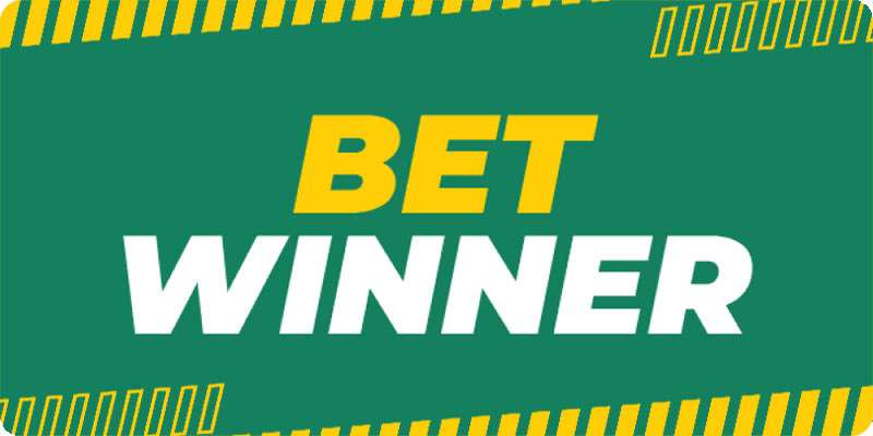 Exciting Games and Bonuses Await You at BetWinner Casino Exciting Games and Bonuses Await You at BetWinner Casino
